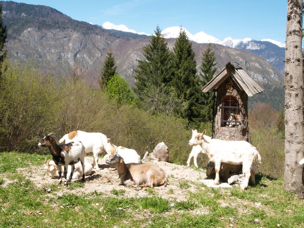 Penzion Rozic Bohinj ภายนอก รูปภาพ